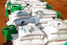 Distribution de Semences et Intrants Agricoles : Vers une Sécurité Alimentaire Durable dans la Zone de Santé de Kayna